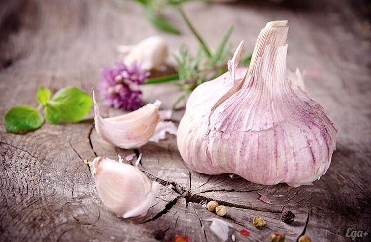 Knoflook