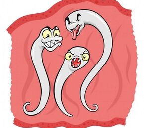 welke parasieten in het menselijk lichaam kunnen leven